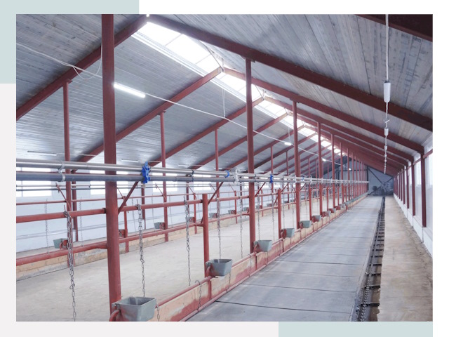 Строительство коровников в Санкте-Петербурге от 638 руб.