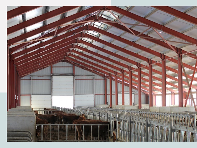 Строительство коровников в Санкте-Петербурге