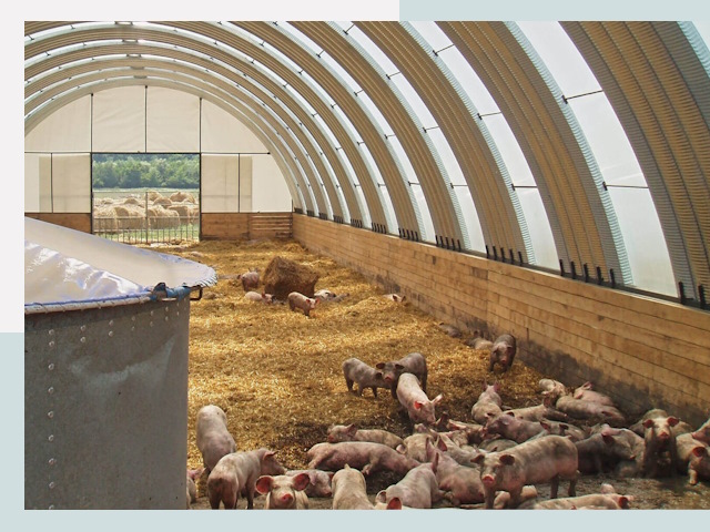 Строительство свинарников в Санкте-Петербурге