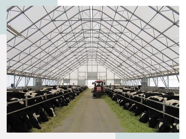 Тентовые коровники в Санкте-Петербурге от 638 руб. - Надежно и доступно