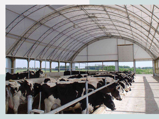 Тентовые коровники в Санкте-Петербурге